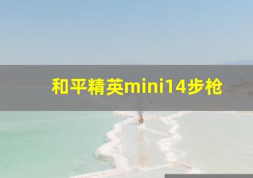 和平精英mini14步枪