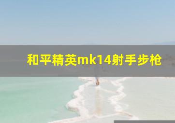 和平精英mk14射手步枪