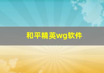 和平精英wg软件