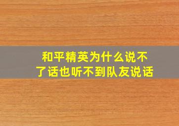 和平精英为什么说不了话也听不到队友说话