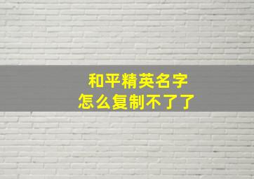 和平精英名字怎么复制不了了