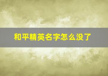 和平精英名字怎么没了