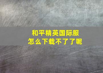 和平精英国际服怎么下载不了了呢