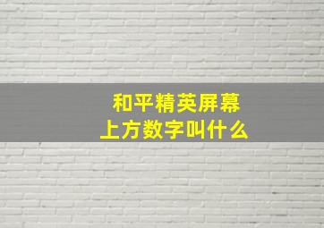 和平精英屏幕上方数字叫什么