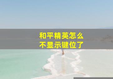 和平精英怎么不显示键位了