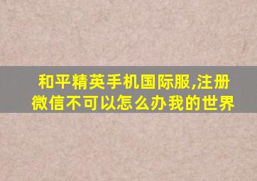 和平精英手机国际服,注册微信不可以怎么办我的世界