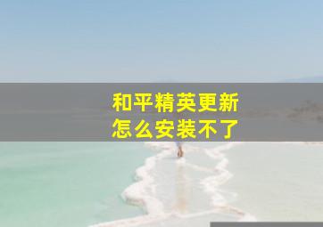 和平精英更新怎么安装不了