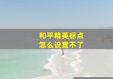 和平精英标点怎么设置不了