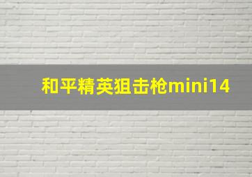 和平精英狙击枪mini14