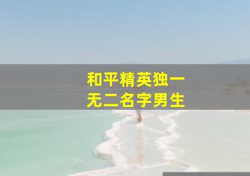 和平精英独一无二名字男生