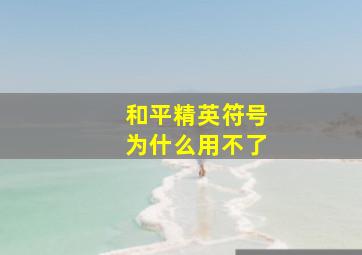 和平精英符号为什么用不了