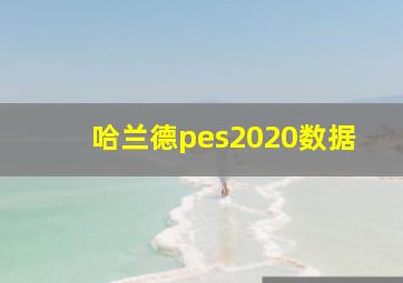 哈兰德pes2020数据