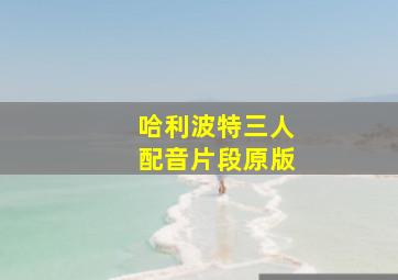 哈利波特三人配音片段原版