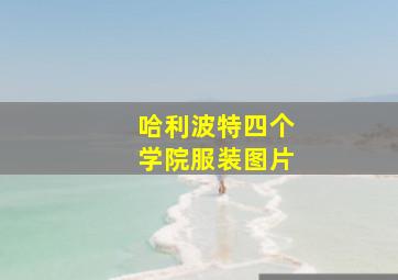 哈利波特四个学院服装图片