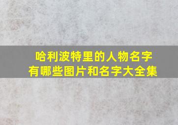 哈利波特里的人物名字有哪些图片和名字大全集