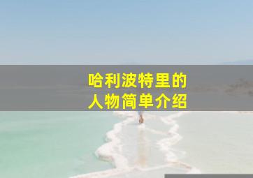 哈利波特里的人物简单介绍