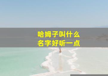 哈姆子叫什么名字好听一点