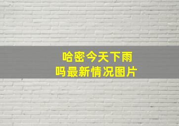 哈密今天下雨吗最新情况图片