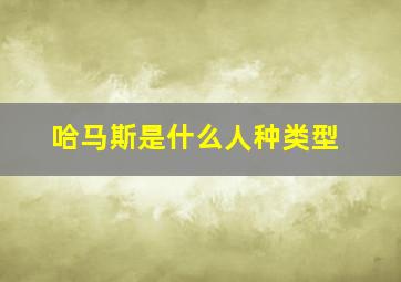 哈马斯是什么人种类型