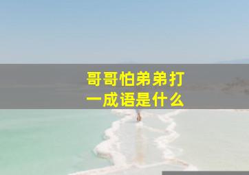 哥哥怕弟弟打一成语是什么