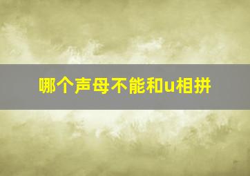 哪个声母不能和u相拼