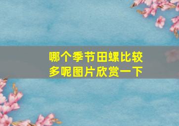 哪个季节田螺比较多呢图片欣赏一下