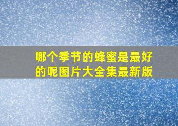 哪个季节的蜂蜜是最好的呢图片大全集最新版