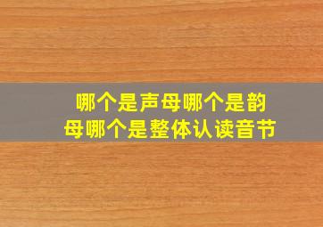 哪个是声母哪个是韵母哪个是整体认读音节