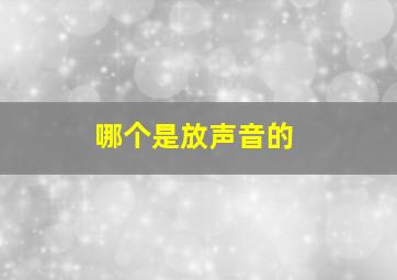 哪个是放声音的