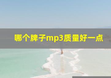 哪个牌子mp3质量好一点