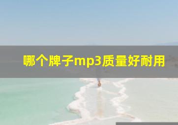 哪个牌子mp3质量好耐用