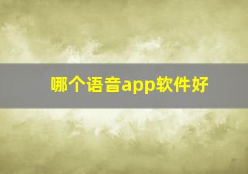 哪个语音app软件好