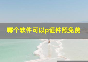 哪个软件可以p证件照免费