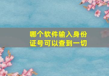 哪个软件输入身份证号可以查到一切