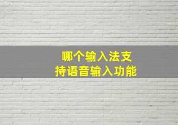 哪个输入法支持语音输入功能