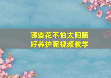 哪些花不怕太阳晒好养护呢视频教学