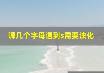 哪几个字母遇到s需要浊化