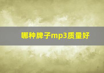 哪种牌子mp3质量好