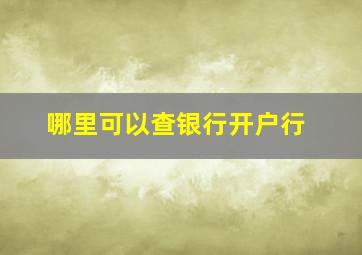 哪里可以查银行开户行