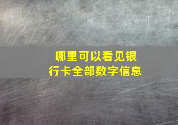 哪里可以看见银行卡全部数字信息