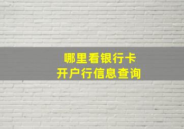 哪里看银行卡开户行信息查询