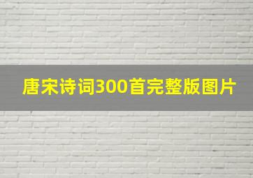 唐宋诗词300首完整版图片