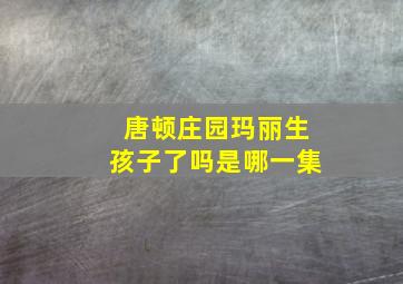 唐顿庄园玛丽生孩子了吗是哪一集