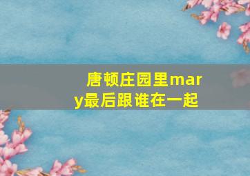 唐顿庄园里mary最后跟谁在一起