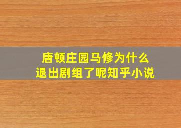 唐顿庄园马修为什么退出剧组了呢知乎小说