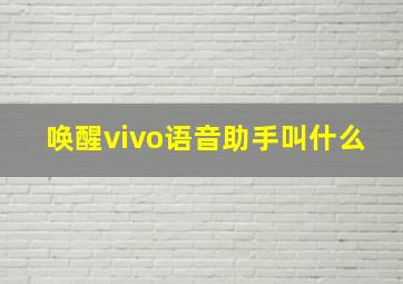 唤醒vivo语音助手叫什么