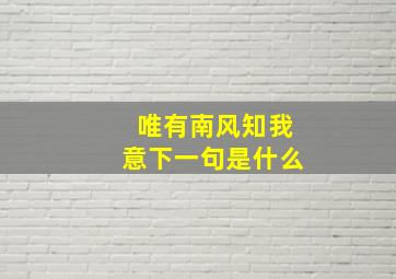 唯有南风知我意下一句是什么