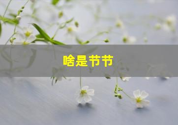 啥是节节