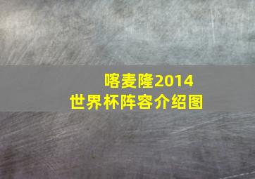 喀麦隆2014世界杯阵容介绍图