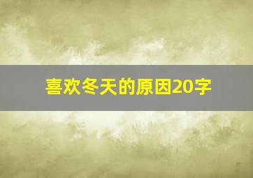 喜欢冬天的原因20字